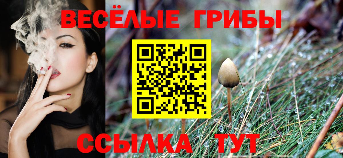 Лиски  Галлюциногенные грибы Cubensis  Вход с VPN  Галлюциногенные грибы Magic Shrooms 